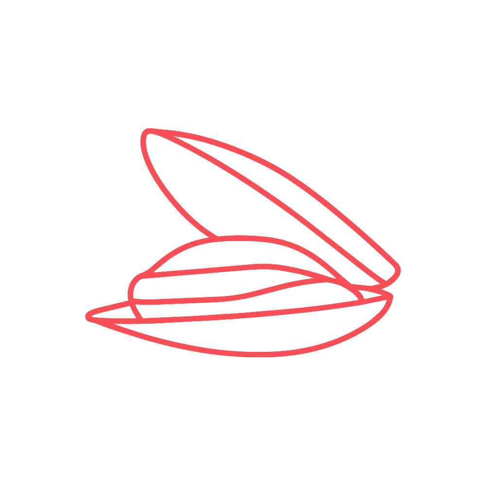 Mejillones Raqueros